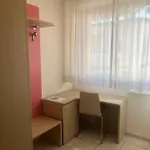 Hotel Rosen Garden 3*